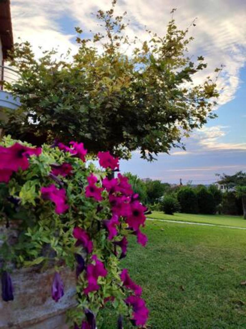 Wonderful Villa With Great View In Posidi-Kalandra 外观 照片
